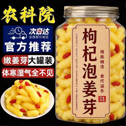 淄博枸杞泡姜芽泡莱嫩姜芽新鲜酸甜开胃腌制泡菜糖醋姜嫩生姜姜片