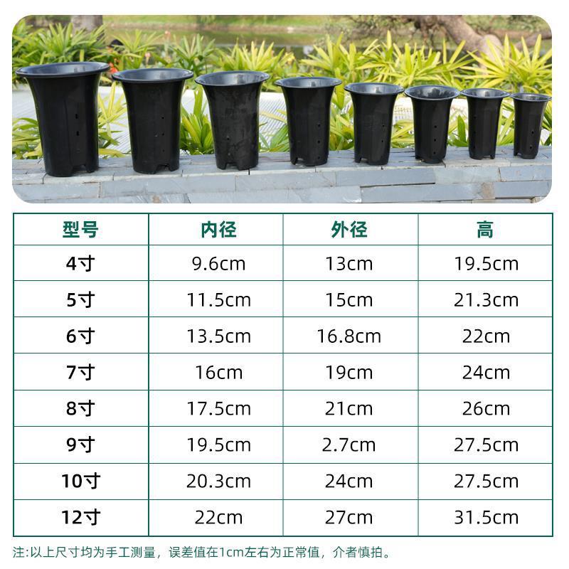 兰花专用盆塑料黑白高育苗花盆园艺多肉兰草盆园控根吊挂式盆