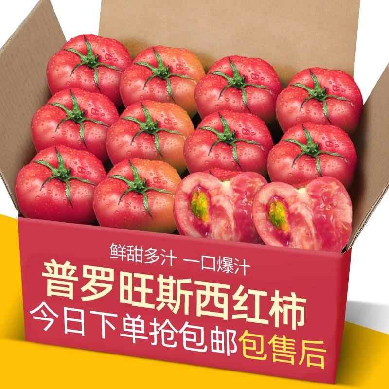 正宗普罗旺斯沙瓤西红柿5-9斤装自然熟山东非铁皮柿子水果大番茄