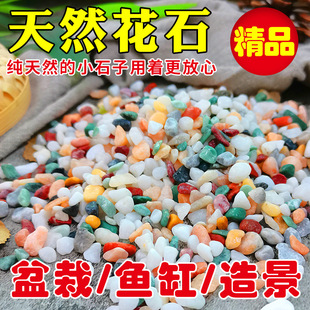 天然子鱼缸造景彩虹石头水洗石水磨石枯山水石砾彩石
