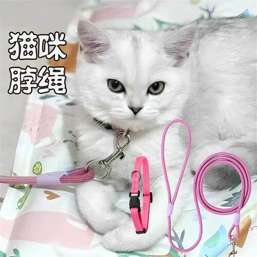 栓猫绳子防挣脱项圈款可调节牵引绳遛猫神器宠物防丢外出遛猫厂家