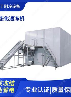 工厂用果蔬流态化速冻机薯条薯片流态化速冻机黄桃流态化速冻机