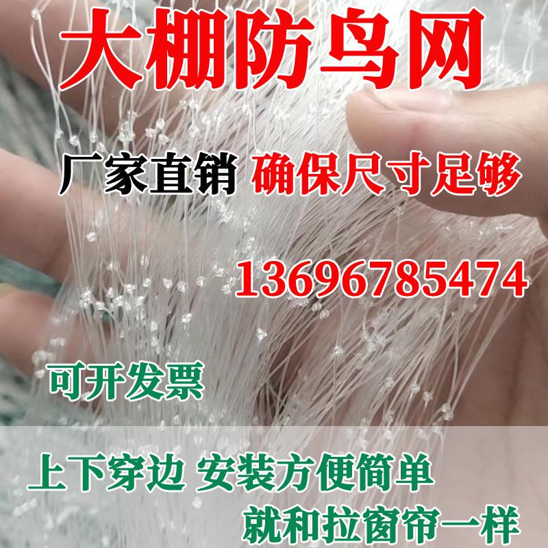 大棚防鸟网尼龙单丝葡萄果园草莓通风口天沟穿绳子农用防鸟专用网