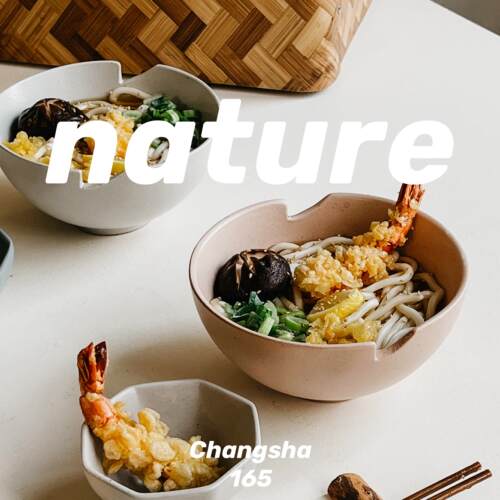 ahahome 北欧风圆润可爱哑光面碗简约设计感 汤碗 日式风家用 ins