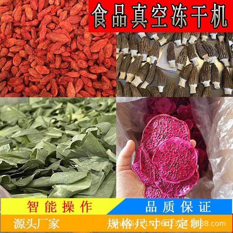 云南玫瑰花低温干燥机鸡胸肉冻干机虫草冻干设备食品冷冻干燥机