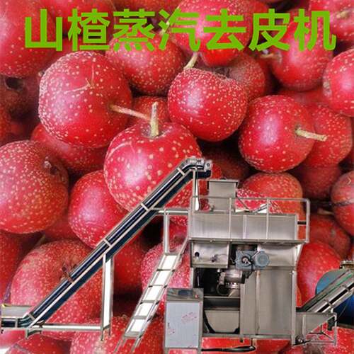 山楂大枣蒸汽去皮机水晶葡萄热烫剥皮机器多功能果蔬脱皮设备