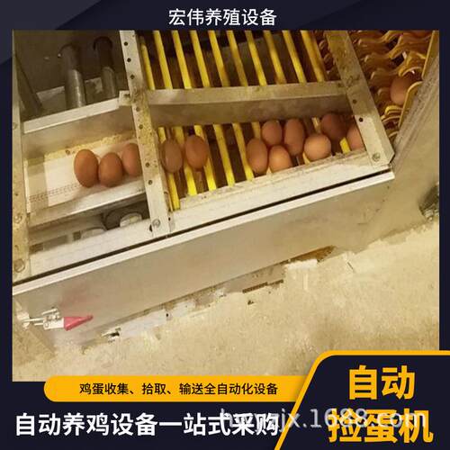 智能捡蛋设备多层立式鸡笼拣蛋设备自动化收蛋机占地面积小鸡棚