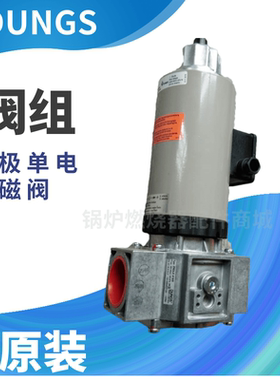 冬斯DUNGS燃气切断阀ZRDLE415/5锅炉阀组ZRDLE420/5双极单电磁