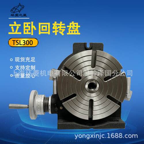 厂家直供TSL250立卧两用分度盘回转工作台