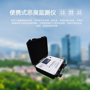 USB RS232 园区应急巡逻检查便携式 恶臭监测设备通讯接口—RS485
