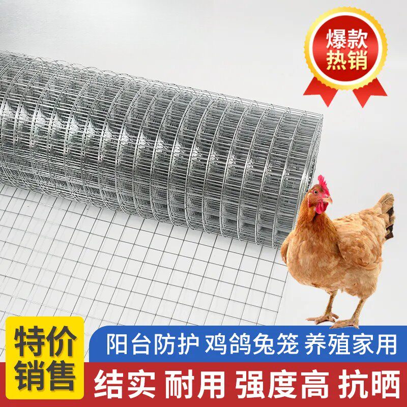 镀锌电焊网防鼠围栏铁丝网养鸡养狗家用护栏网隔离钢丝网荷兰网格