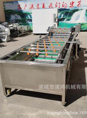商用工QHQX-400蔬菜气泡清洗机 菜加制设备 定连续式果蔬加净工成