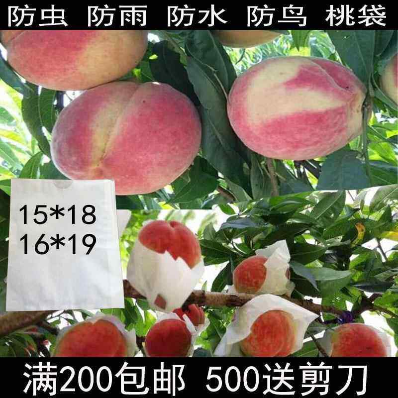 桃子套袋映霜红冬桃石榴橙子防雨防虫柑橘白色枇杷梨套袋
