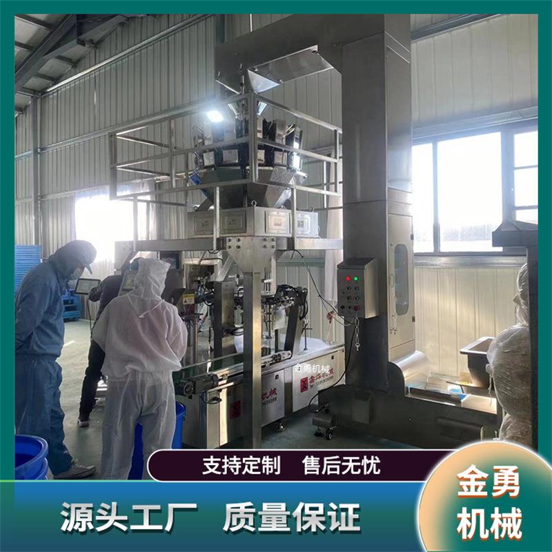 全自动火锅丸子包装机洋葱圈鱿鱼圈给袋式包装机鱼丸虾饺封口机