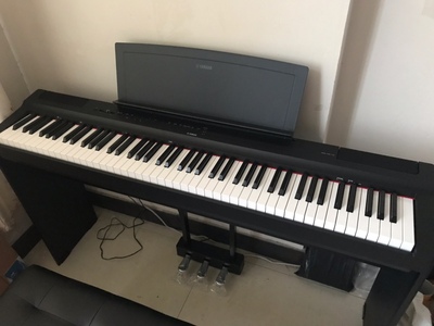 如何雅马哈电钢琴P125这款？雅马哈电钢琴P125怎么样