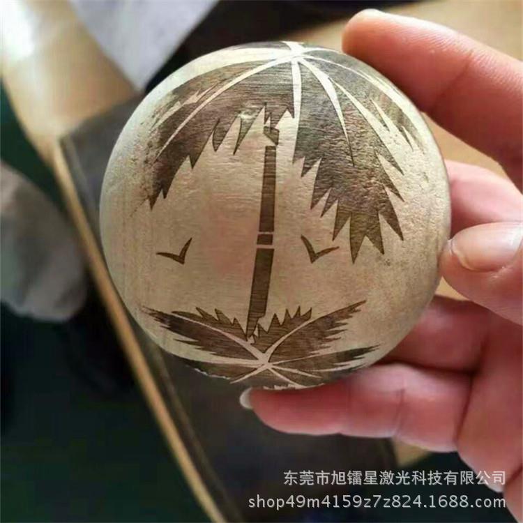 东兴上海椰皇 海南海口椰子壳开盖开口开孔镭射机 激光画线机厂家