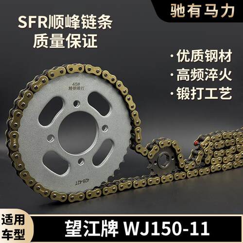适用望江牌 WJ150-11牙盘加厚油封链条大小齿链轮摩托车配件套链
