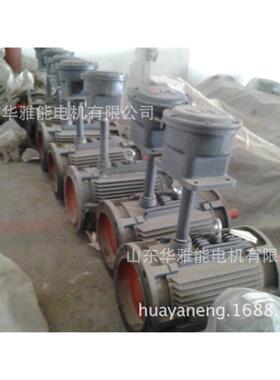 风叶YFB5-160M-4-11电机风罩粉尘YFB5电机道德经常无欲以观其妙