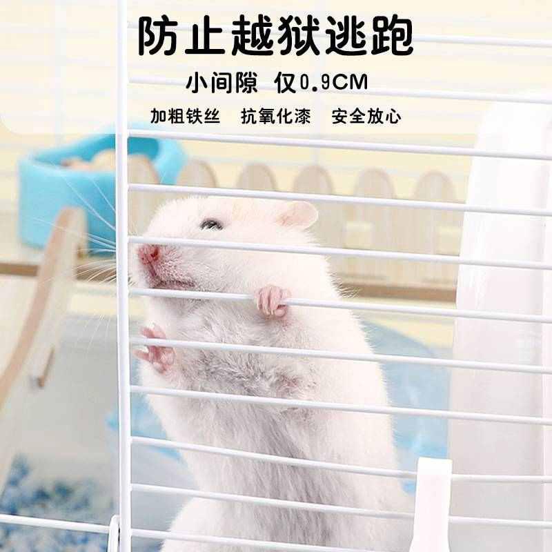 仓鼠笼蜜袋鼯全景透明超大便宜别墅大基础笼专用饲养箱亚克力笼子