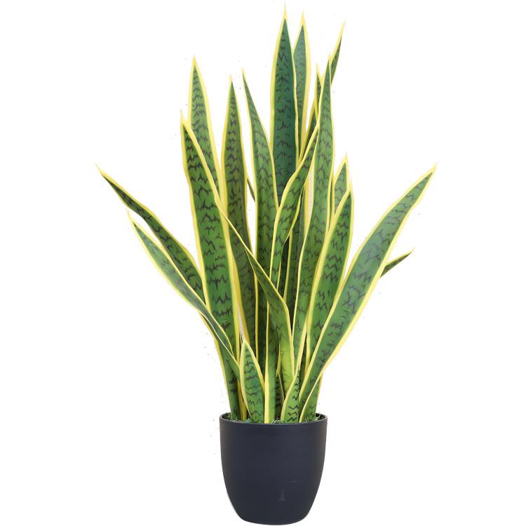 仿真虎皮兰绿色植物绿植黄边盆栽人造假植物黄边虎皮兰
