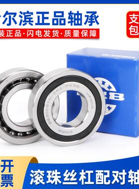 哈尔滨丝杆轴承 BS1747-2047-2562-3062-3572-4072-4090-50100/P4
