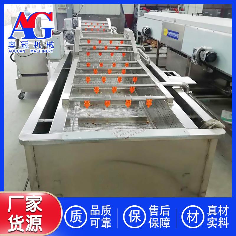 清洗茨菇机器 速冻石榴籽清洗加工流水线 榨汁后甘蔗渣清洗浸泡机