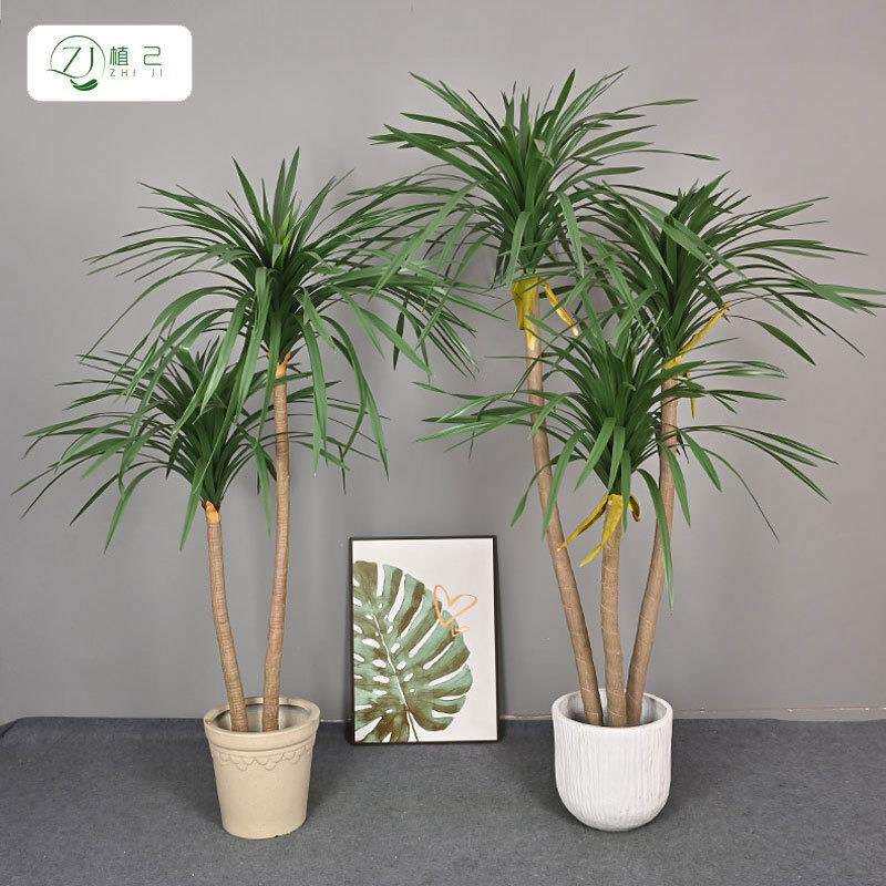 真绿植龙须室内zj481653家居大型落地植物装饰树造摆件园仿艺景龙