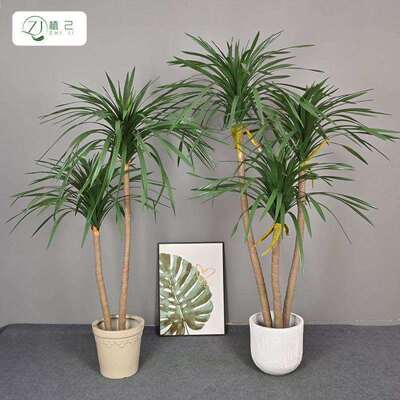 真绿植龙须室内zj481653家居大型落地植物装饰树造摆件园仿艺景龙