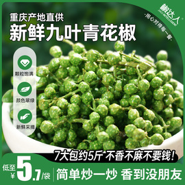 椒达人新鲜青花椒350g藤椒花椒特麻香料底料大全四川特产保鲜花椒