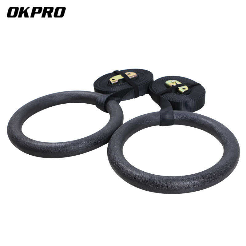 桦木榉木体操吊环体育吊环ABS健身吊环体操环健身环伽 桦木吊环