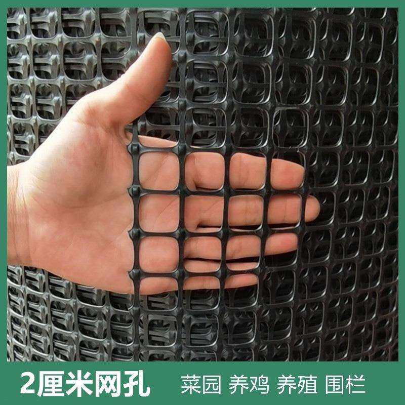 塑料网围栏网养鸡养殖网护栏网栅栏家用菜园果园户外防护网格