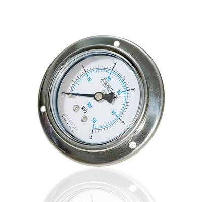 全钢压力表不锈钢轴向带前边埋入式法兰安装 YBF60ZT 5MPA 50BAR