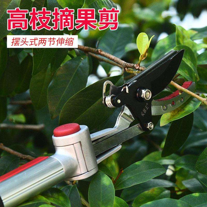 摆头式枝摘果剪多功能带锯片采果剪园林工具伸缩空修枝剪刀
