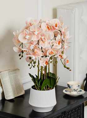 仿真花蝴蝶兰盆栽乔迁送礼客厅装饰品橙色带盆带花仿真人造花假花