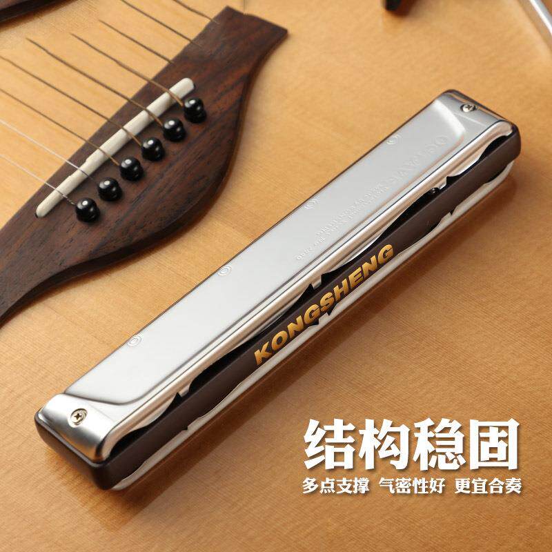 口琴成人24孔重音C调练习NO.2440高低音型重音乐器演奏型24孔口琴
