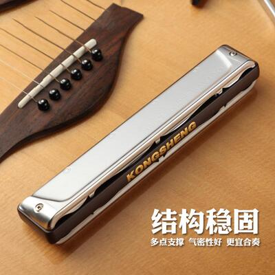 口琴成人24孔重音C调练习NO.2440高低音型重音乐器演奏型24孔口琴