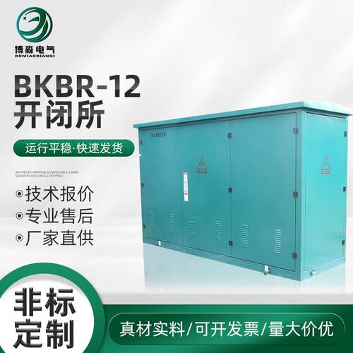 BKBR-12开闭所环网柜六氟化硫开闭所高压充气柜配电柜中压