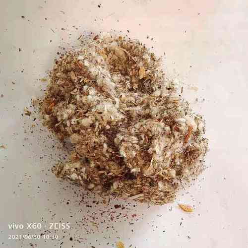 食用菌中绒中壳棉籽壳菌类培育种植大棚用棉籽皮油田堵漏剂棉渣