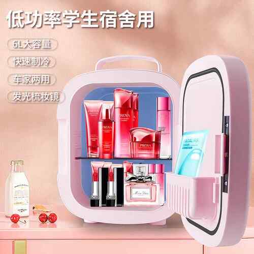 6L镜面LED灯迷你便携式家车两用美妆冷暖车载小冰箱