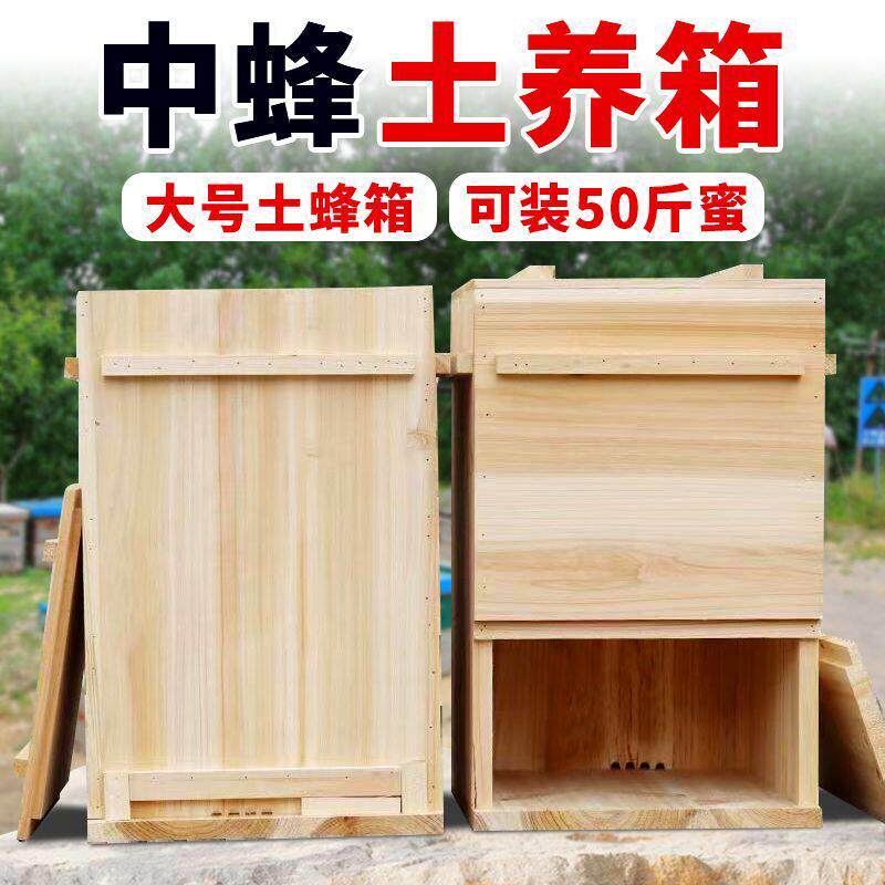 竖养老式蜂箱养蜂专用中蜂蜂箱杉木烘干 干诱蜂桶蜜蜂箱土养箱三