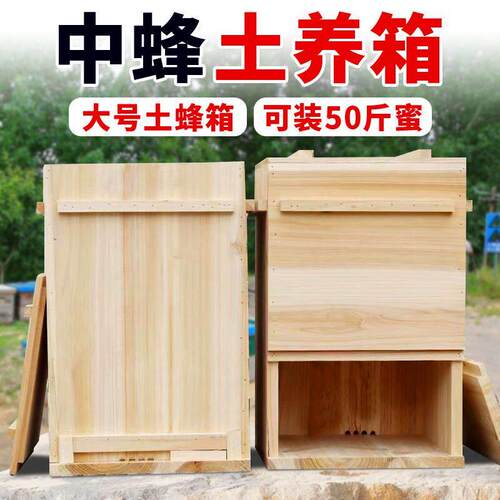 竖养老式蜂箱养蜂专用中蜂蜂箱杉木烘干 干诱蜂桶蜜蜂箱土养箱三