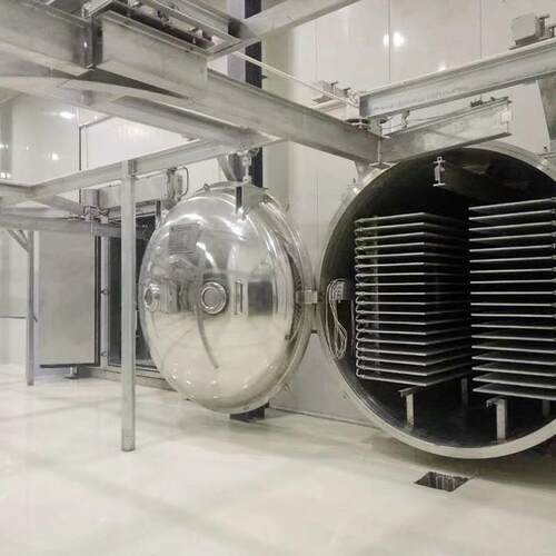真空冻干机设备超低温冻干机罐头冻干机竹笋冻干机家用冻干设备