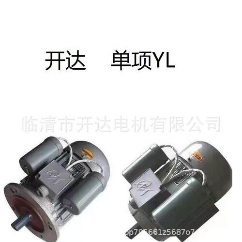 YL项大功率电机03W-4W-5.5W低噪音变频调速三相永磁同步电机