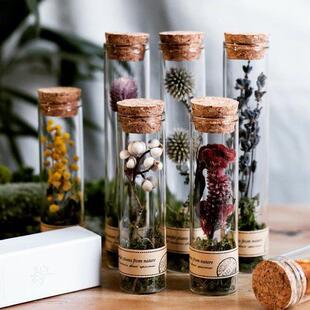 玻璃试管干花永生花植物标本节日礼物家居摆件送老师闺蜜朋友