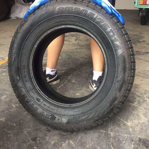 全钢丝真空轮胎250/70R15双钱轮胎，低平板车拖车可用