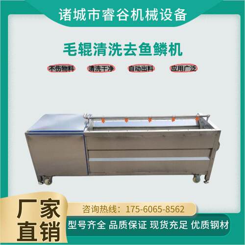商用洗鱼机自动去鱼鳞机器鲢鱼鲤鱼清洗机毛辊清洗机现货发