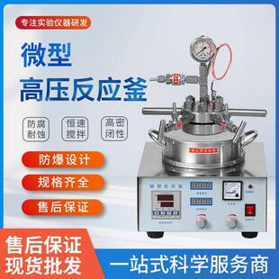50ml100ml200ml磁力耦合机械搅拌高压反应釜微型磁力高压反应釜