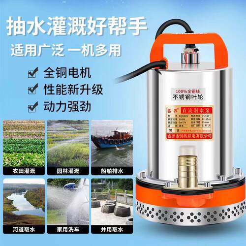 直流潜水泵12v24v48v60v伏电动车电动灌溉小型抽水高扬程潜水泵