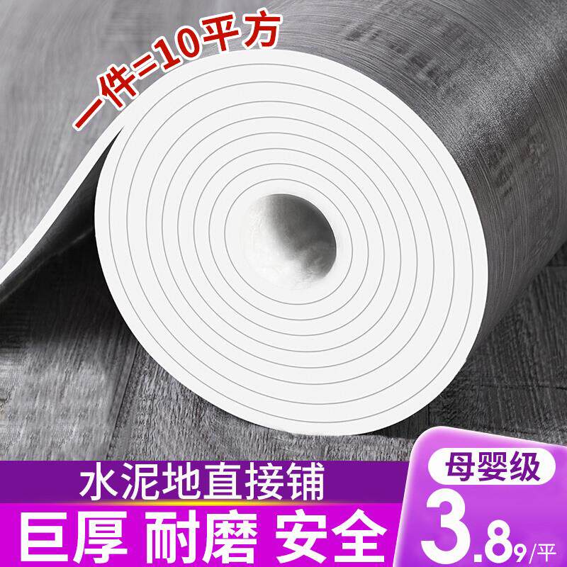 加厚地毯卧室大面积全铺家用房间水泥地pvc地板铺垫防水防潮地垫