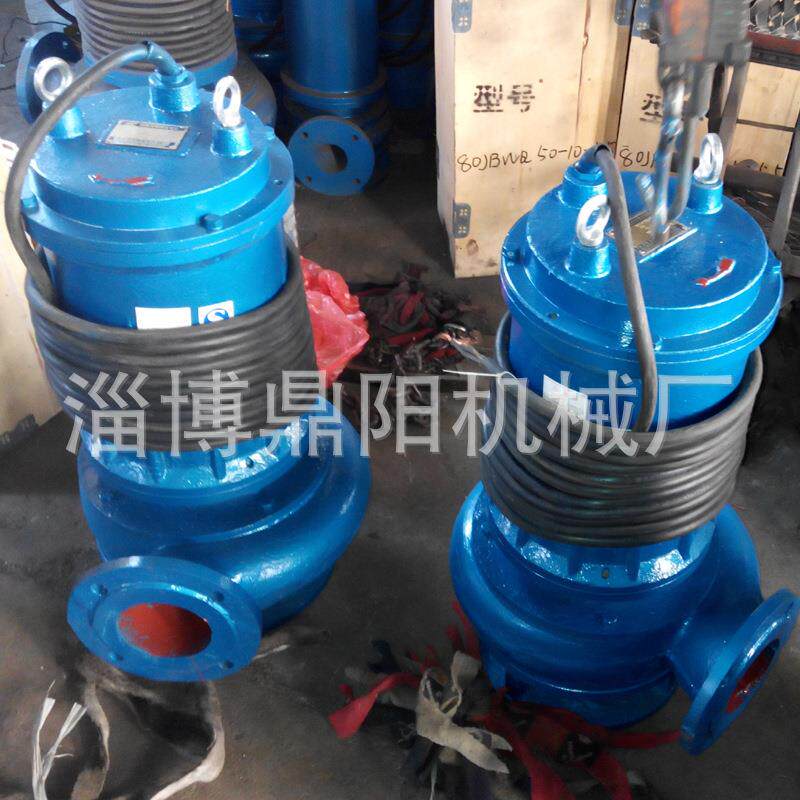 250QW潜污泵 150QW下吸式污水泵 200WQ自动搅拌潜水排污泵